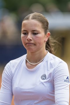 Bild 249 - BL DTV Hannover - BW Dresden Blasewitz : Ergebnis: 2:7